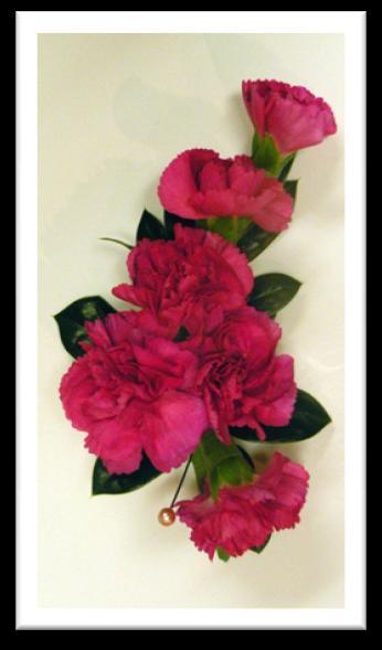 (2D) prepare corsages and boutonnieres Designing corsages and boutonnieres can be one of the most rewarding and at the same time challenging projects that a floral design teacher can teach, because