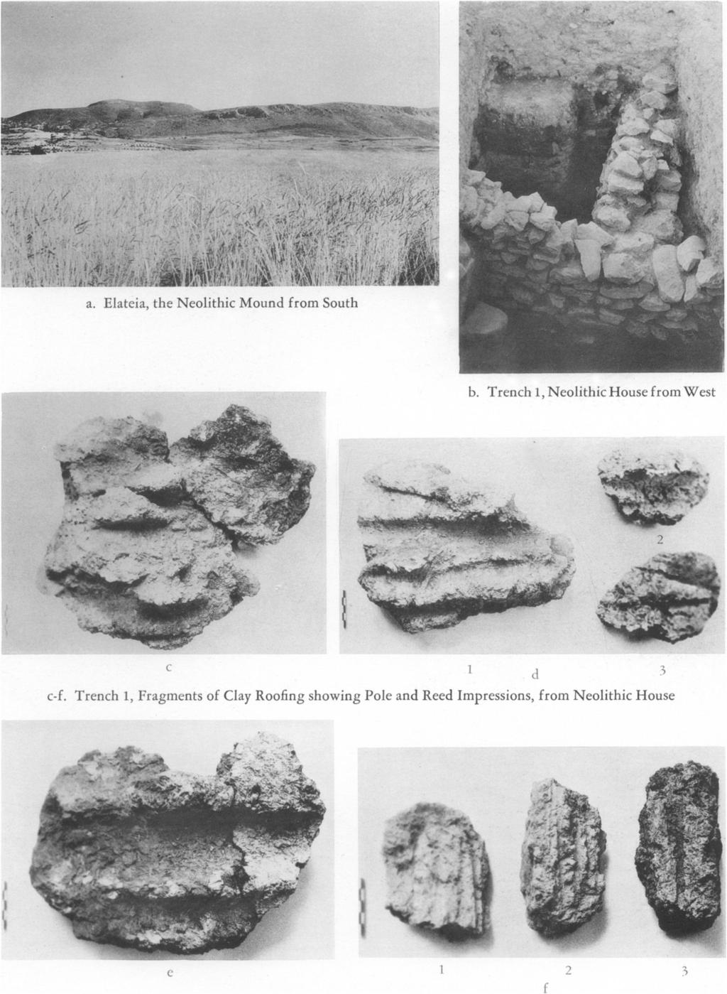 I. PLATE 49 a. Elateia, the Neolithic Mound from South b.
