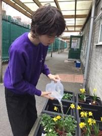 Students have learnt about planting and watering seeds,