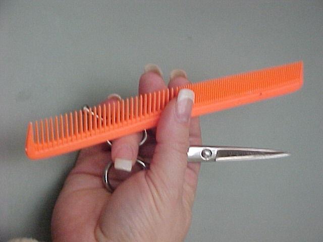 Holding Two Implements Palm shears Pick up comb using thumb and