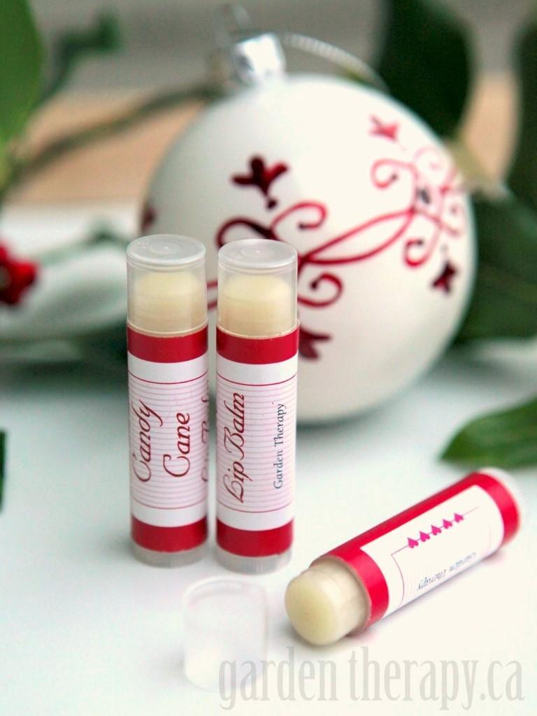 Candy Cane Lip Balm This festive recipe smells just like the holidays! Candy cane scented lip balm gives you a minty tingle along with a sweet vanilla aroma that will make it an everyday favorite.