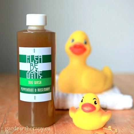 This all-natural shampoo is packed with essential oils that fleas hate, but the castile soap is kind to fur and the people who pet it.
