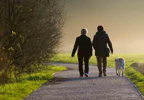 DID YOU KNOW? A brisk walk burns the same amount of calories as a run over the same distance! It can: y help beat stress: walking can make you feel good and more relaxed.