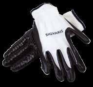 donning gloves recommended for use in a latex-free environment.