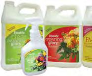 Floralife Flower Care Products FINISHING SPRAYS 4 PROTECT: Refresh, hydrate and protect flowers with a last step of finish spray to extend the flower life.