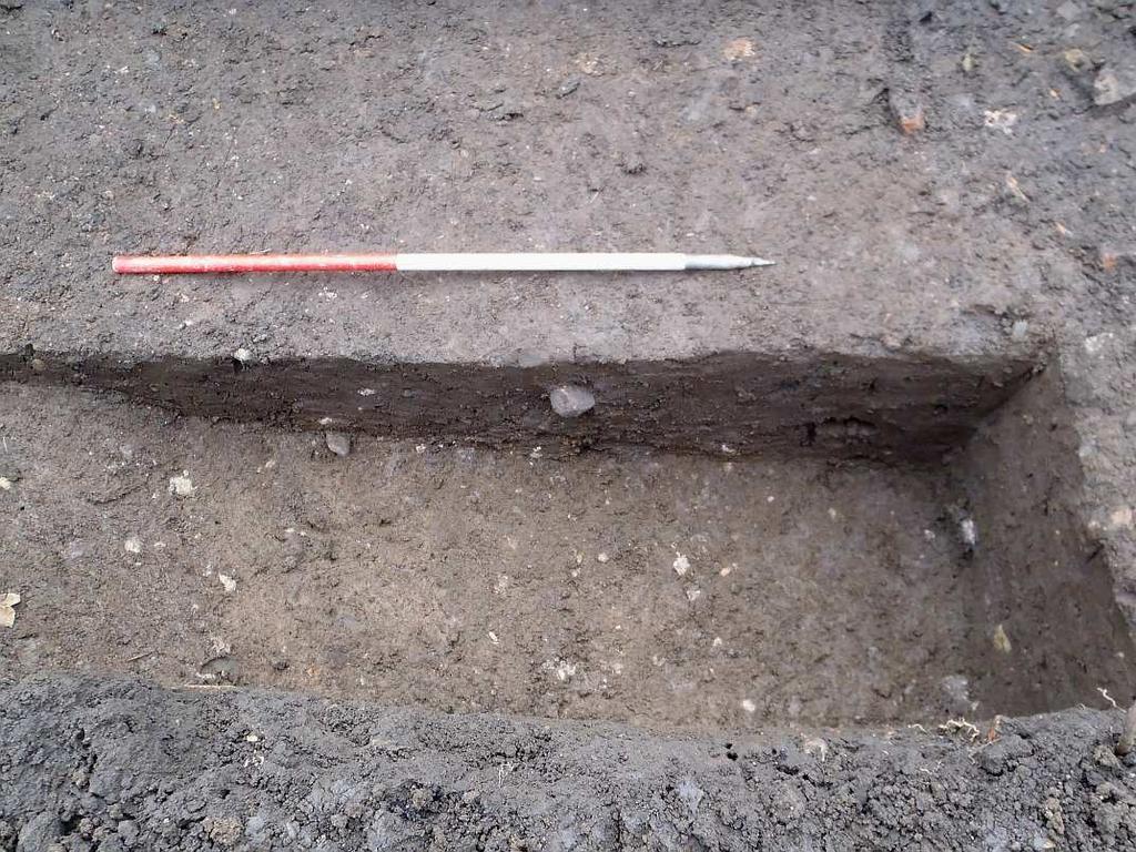 Report 10 Plate 3: Trench 16 looking