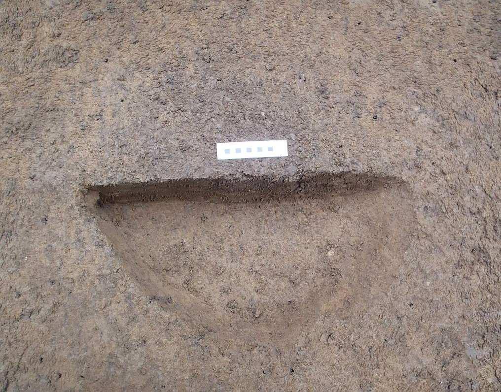 South-facing section of pit/posthole 1805 Plate 10: