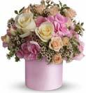 95 EVERYDAY T50-2A Sweet as Sugar by Teleflora $62.