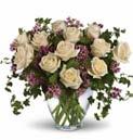 95 ROSES T68-2A Sweet Moments $47.