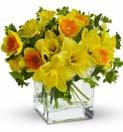 95 SPRING T139-1A Sunny Day Pitcher of