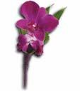 FSG 2010 - T202-8A Perfect Purple Orchid