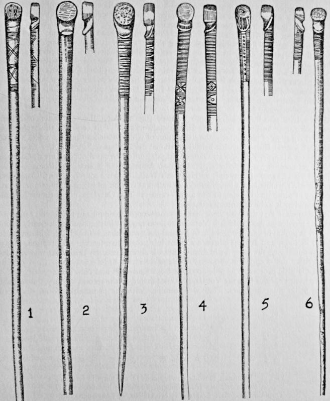 Fig. 7: Irish proto-zoomorphic pins.