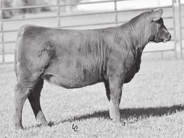 We are selling the top end of all the 42W daughters.