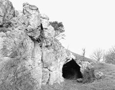The southwestern entrance at the start of the excavations in the summer of 1931 In 1908, Schmidt, after undertaking sample excavations at the Bockstein cave previously explored by Bürger, excavated