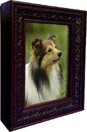 within an elegant picture frame.