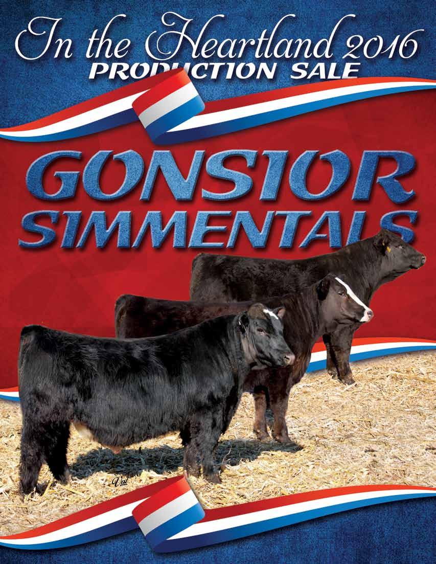 16th Annual Sale Black & Red Polled