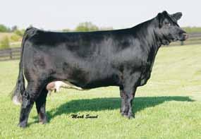 85 120 72 With the untimely loss of Magnetic Lady W1 in January, this will be the last opportunity to purchase any of her frozen genetics.