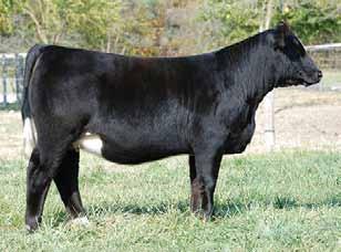 2015 In The Heartland Sale $8000 daughter Gonsior