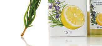 4 Rosemary invigorates the mind and memory and helps us to cope with overwork