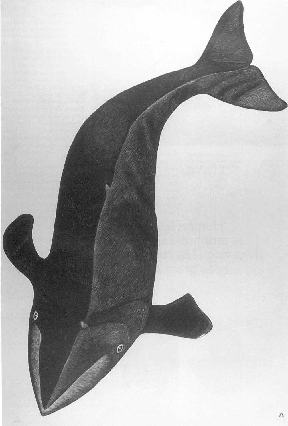 Fig. 1: Arvialuk (Great Big Whole), 2003, Kononginak Pootoogook, Cape Dorset