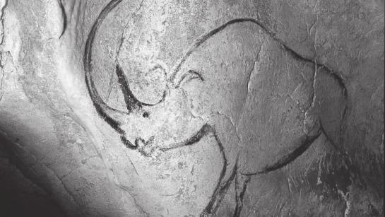 Animal depictions that appear in the cave include rhinos, cave bears, a panther, an owl, bison, reindeer, and Megaloceros, a now-extinct type of giant elk.