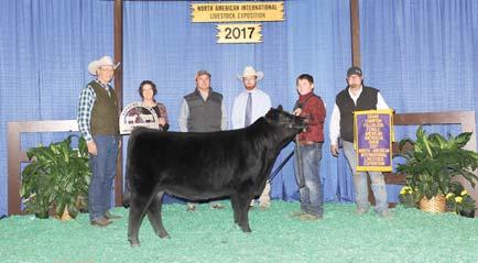 Get of Sire. This heifer has unlimited donor cow potential after her show career and is certainly a leading contender for the 2018 National Champion Female award.