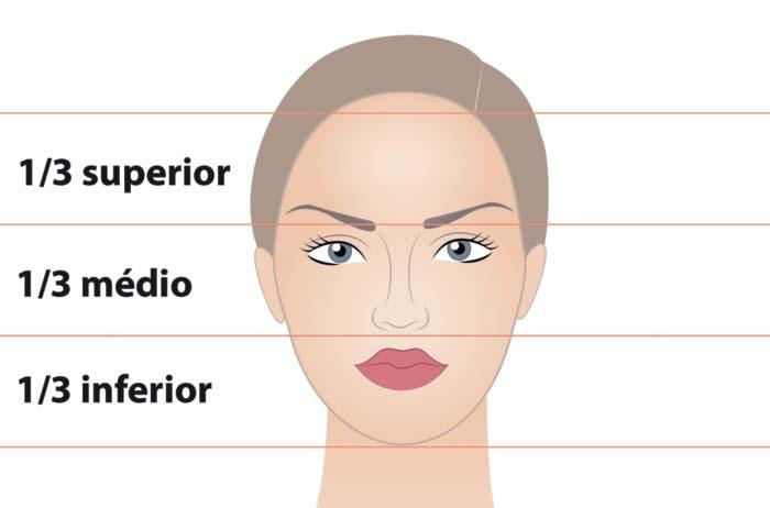 1 The literature describes how, during youth, the human face is shaped like an inverted triangle, with the apex pointing downwards, translating into a well-defined facial middle third.