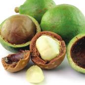 best formula for dry and sensitive skin Macadamia Nut : Extremely