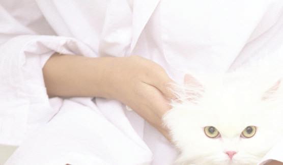 Brand Introduce WHITE CAT only uses nature-friendly ingredients. WHITE CAT doesn t use ingredients that can irritate your skin. WHITE CAT helps keep your skin healthy and beautiful.
