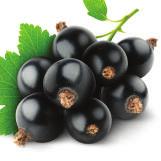 Black Currant, Blueberries