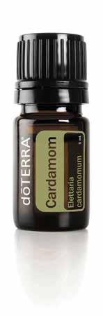 Cardamom Elettaria cardamomum 5 ml Application: A T I N Plant Part: Seed Extraction Method: Steam distillation Aromatic Description: Spicy, fruity, warm, balsamic Main Chemical Components: Terpinyl