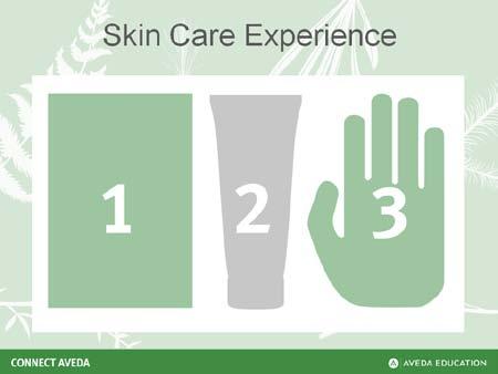 Skin/Body Care & Aroma Provide Solutions (Skin Care) Educator Guide Slide 17 Page 93 Direct learners to the Connect Aveda Participant Workbook.