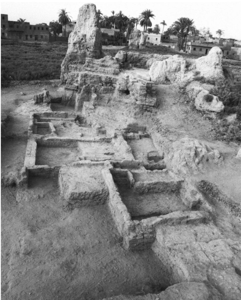 NETWORKS IN THE HELLENISTIC WORLD ACCORDING TO THE POTTERY IN THE EASTERN MEDITERRANEAN AND BEYOND areas of excavation were most likely private housing on either side of a large Ptolemaic garrison,