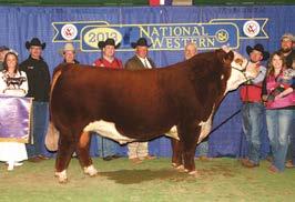 004 (.03); REA 0.56 (.03); MARB 0.06 (.03); BMI$ 24; BII$ 21; CHB$ 28 Daguhter of Fawcett s herd sire, Rushmore. 724 is jet necked and very complete. Consigned by Thomas Farm, Richmond, Ky.