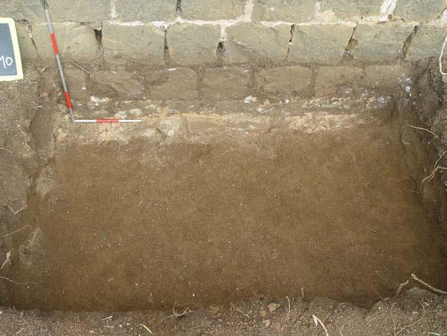 Thanks to restorative works undertaken by members of the AGTF, a third Trench, of the following dimensions: 2 x 1.5m was opened directly adjacent to the western face of the first Barrack (Fig. 7).