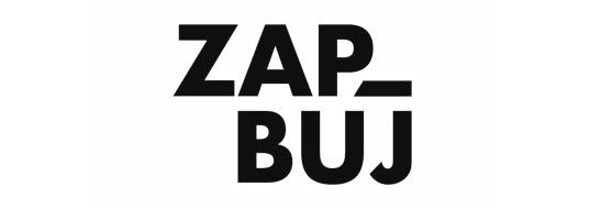 ZAP&BUJ - Samsung Ego Innovation Project TUESDAY 19 SEPTEMBER 10:30 h Room Bertha Benz The collection «Wall dress» sits at a crossroads between architecture and fashion.