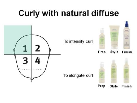 Curly Results Curly with Natural Diffuse inform practice Slide 19