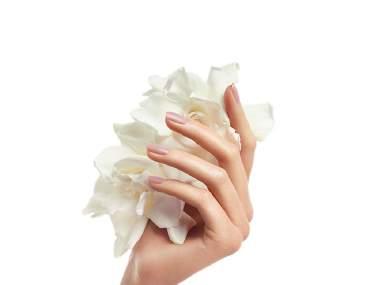 BIO SCULPTURE Bio sculpture can last up to three weeks and can be applied as a coloured overlay or nails can be extended using the sculptured method, we have a range of colours including the classic
