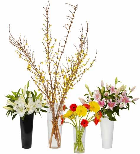 OASIS Display Bucket Stable polystyrene with high-gloss finish Use in the cooler for an upscale display of bunches and stems Provides height and drama to event work with a similar look as glass while