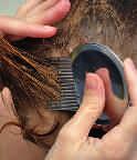 How can you tell that you have head lice? At the latest, if the scalp becomes very itchy, you should check to see whether the little bloodsuckers have selected you as a new victim.