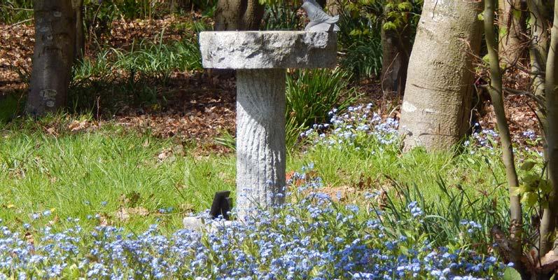 Bird Baths and Sundials Special positions can be found in the