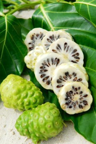 ) contain more than 150 kinds of nutrients NONI EFFECT Sterilization and cell regeneration effect, inhibition of active oxygen can achieve anti-aging effect Large amount of minerals