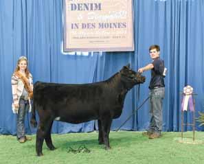 FWSS Owned by Foster Brothers Farms & Circle M Farms Obcc Legend 23C