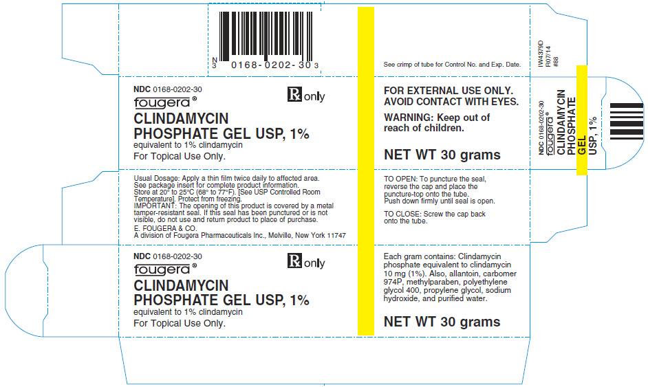 CLINDAMYCIN PHOSPHATE clindamycin phosphate lotion Product Information Product T ype HUMAN PRESCRIPTION DRUG LABEL Ite m Code (Source ) NDC:0 16 8-0 20 3 Route of Administration TOPICAL DEA Sche dule