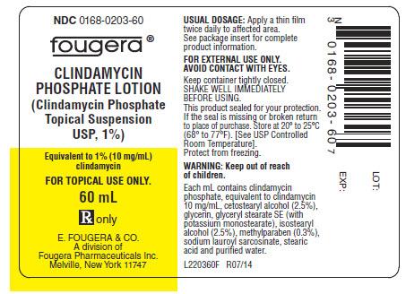 PACKAGE LABEL PRINCIPAL DISPLAY PANEL 60 ml CONTAINER NDC 0168-0203-60 CLINDAMYCIN PHOSPHATE LOTION (Clindamycin Phosphate Topical Suspension USP, 1%) Equivalent to 1% (10 mg/ml) clindamycin FOR