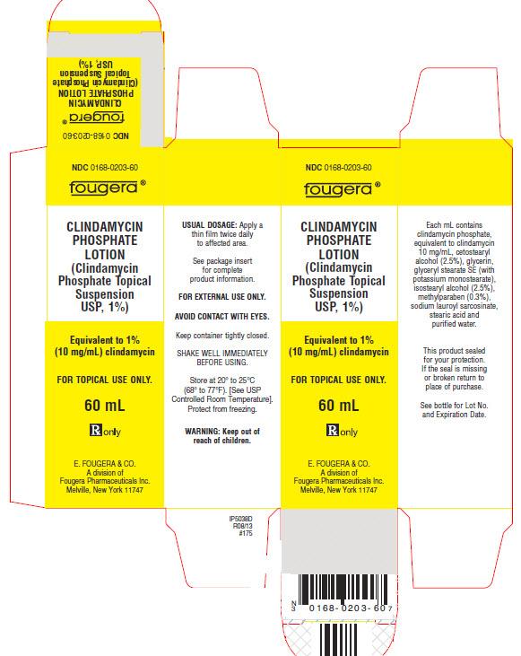 PACKAGE LABEL PRINCIPAL DISPLAY PANEL 60 ml CONTAINER NDC 0168-0201-60 CLINDAMYCIN