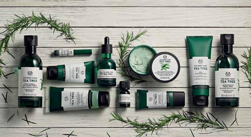 BEAUTIFUL SKIN THE BODY SHOP TEA TREE COLLECTION 4 25-18 50 COMPARE AT 3 00-22 00 DR.