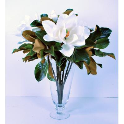 17 MAGNOLIA IN FLARED GLASS (WHITE/GREEN) DP148.
