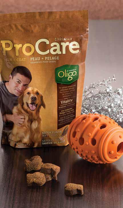 Happy, Healthy Pets LIMITED TIME Toy and Treats GIFTS FOR THE BRIGHT-EYED AND BUSHY-TAILED Remember your furry family members this year with the exclusive holiday ProCare Gift Set.