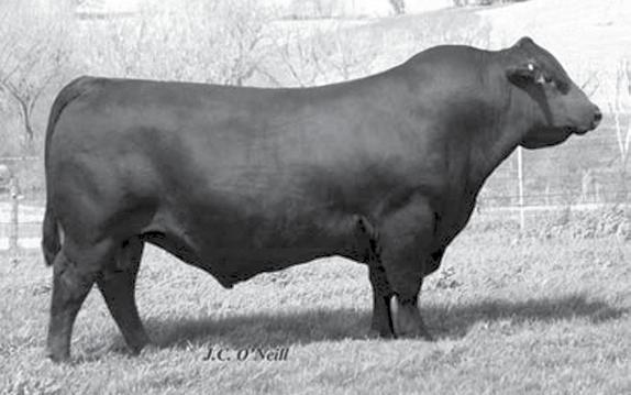 19 14 10.3 6 24 33 0.49 0.29 0.017 Reference Sires Tattoo 80Z 10 Sell Weights 85 Adj. 831 Adj. 1381 $ Values 43.69 51.21 34.68 144.